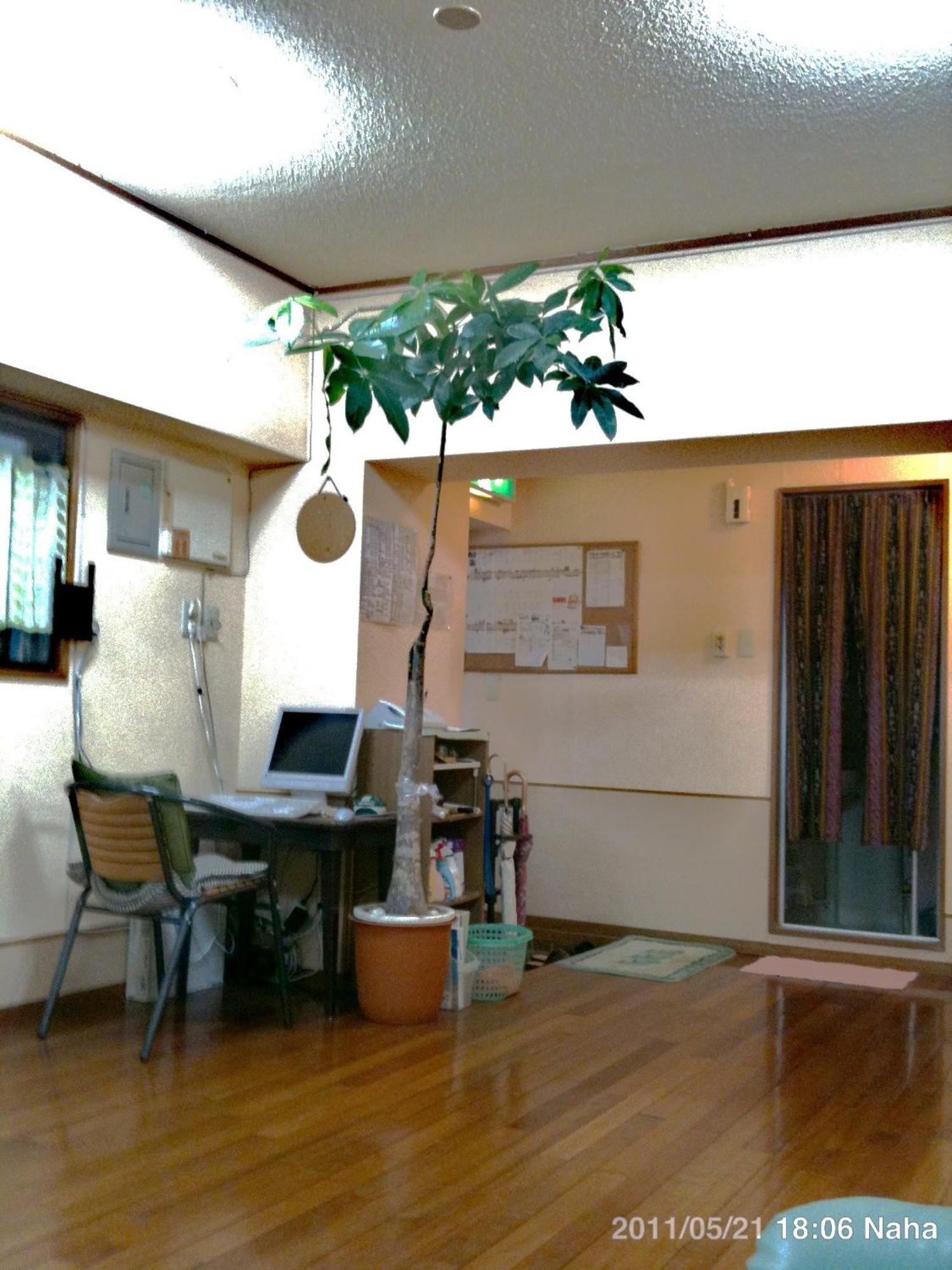 Hostel Hakuseiso Naha Ngoại thất bức ảnh